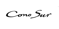 cono sur