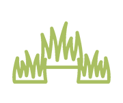 metros de limpieza de vegetación leñosa 