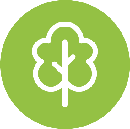 Native Reforestation