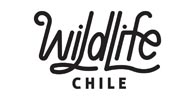 wild life chile